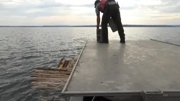 Person on dock near water with logs
