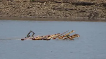 Partially submerged debris near shoreline