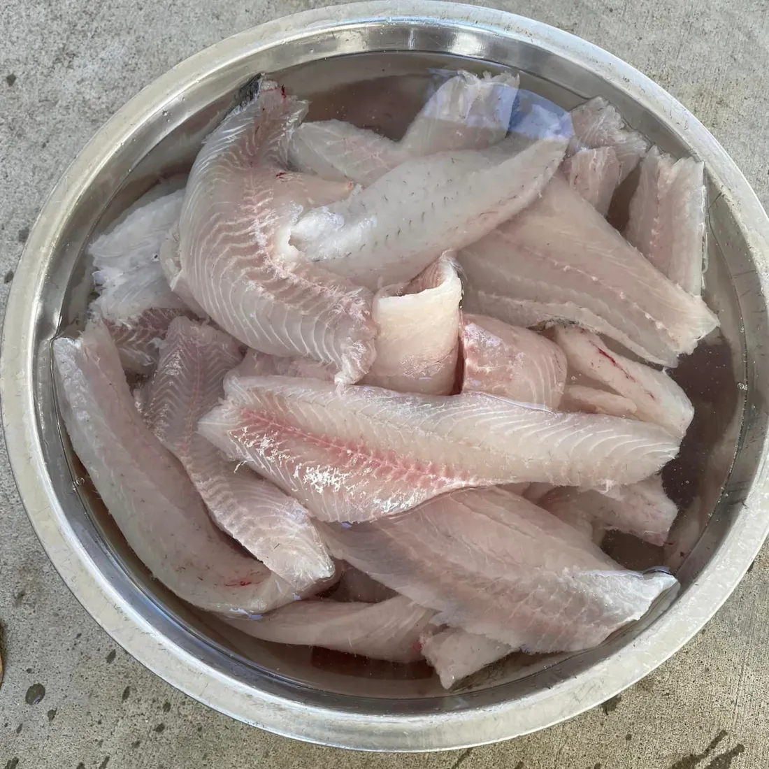Fresh fish fillets ready to cook