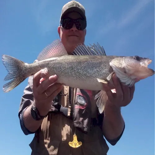 Angler with freshwater fish in sunlight