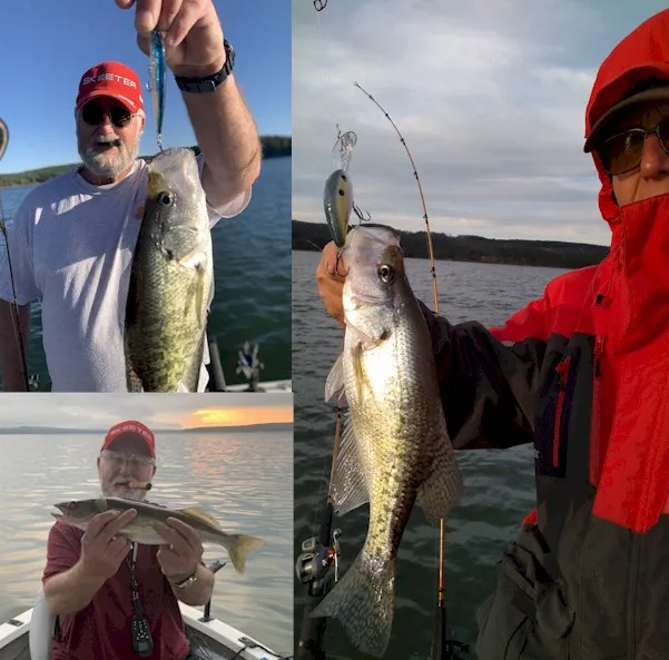 Angler with various fish catches
