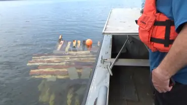 Person wearing life jacket on boat