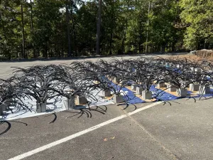 Spider decorations on outdoor pavement